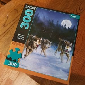 300 piece puzzle